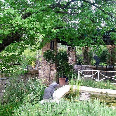 Black Cottage Smithfield Екстериор снимка